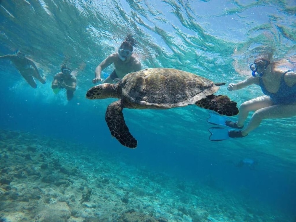 guraidhoo