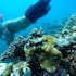 guraidhoo