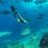 guraidhoo
