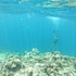 guraidhoo