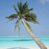guraidhoo