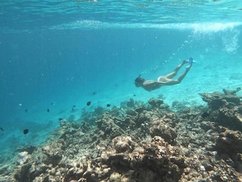 guraidhoo