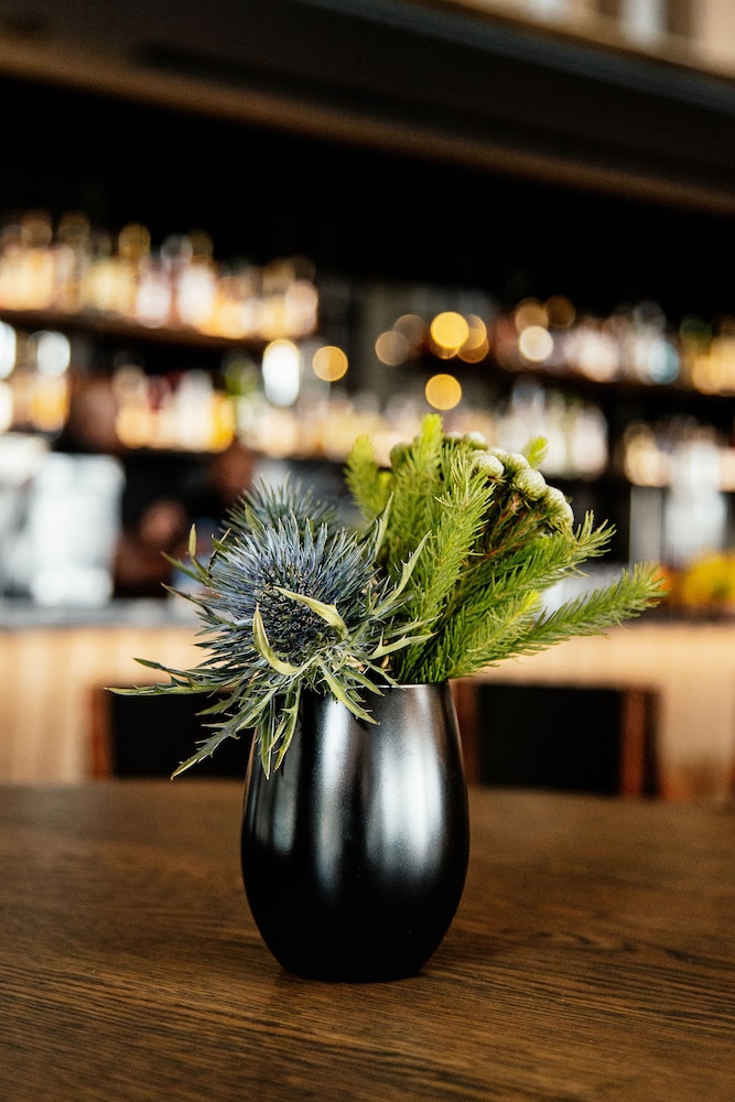 johannesburg marriott hotel melrose arch