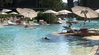 Lone Hotel By Maistra Collection,Rovinj>>Pula,5 star