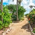 sorobon luxury beach resort