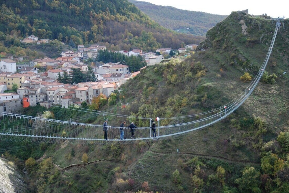 pignola