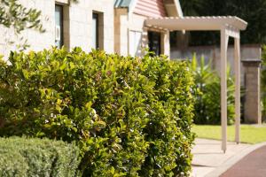 Amalfi Resort,Busselton>>Broadwater,3 star