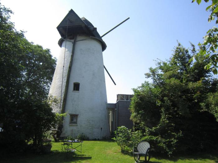 de reus van horebeke
