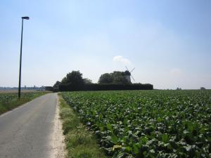de reus van horebeke