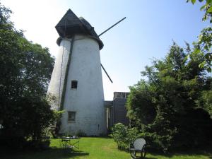de reus van horebeke