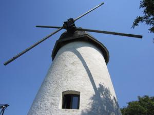 de reus van horebeke