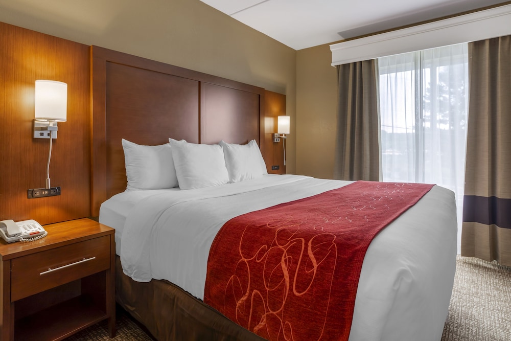 comfort suites north