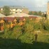 martuni