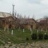 martuni