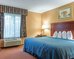 quality inn and suites