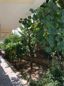 hotel villa ago