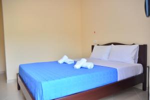 hotel villa ago