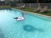 ibis tarbes odos