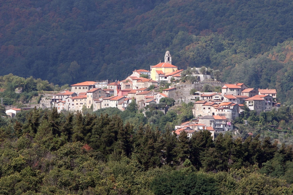 park hotel la pineta