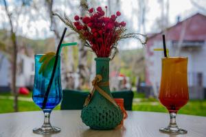 garden inn resort sevan