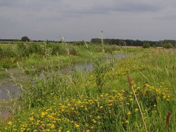 teuge