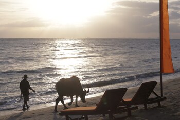 viva vacation resort