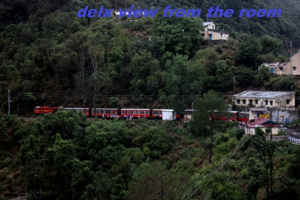 shimla