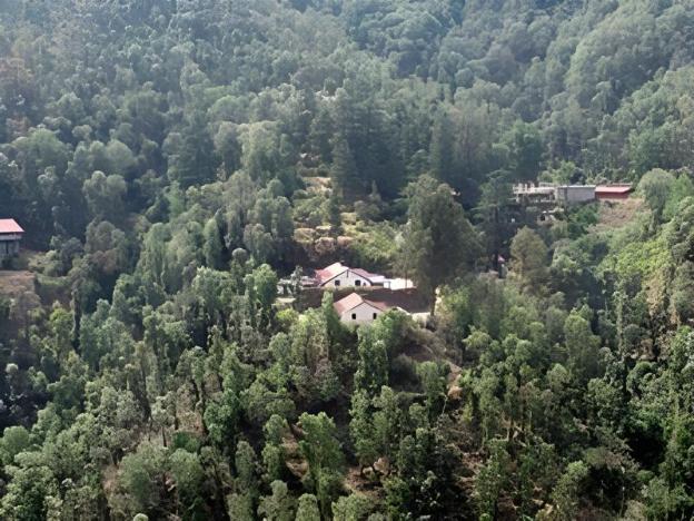 shimla