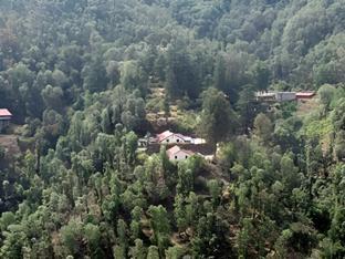 shimla