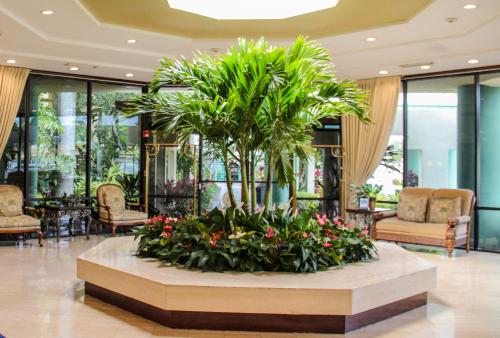 boca plaza by lowkl
