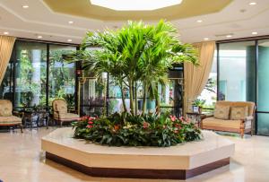 boca plaza by lowkl