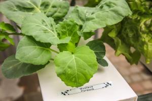 san carlos de bariloche