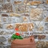 myconian crown suites