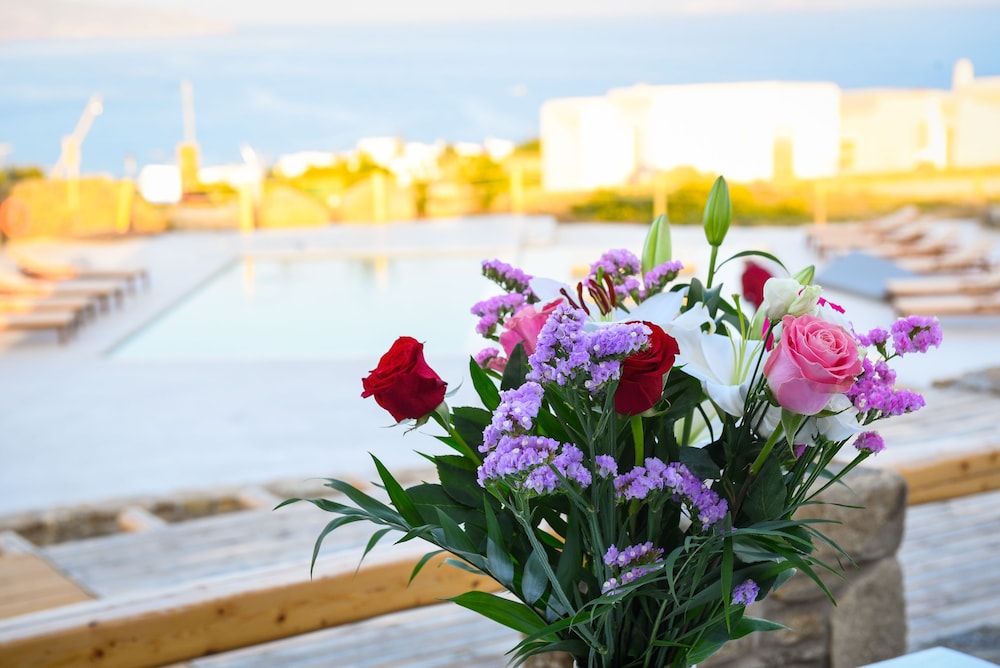 myconian crown suites