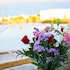 myconian crown suites