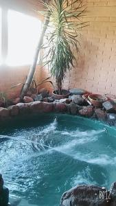 cabanas solitudine