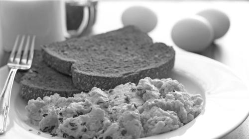 hotel ancora riviera