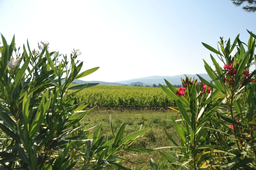 fattoria casabianca