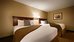 hayward inn