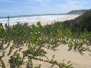 Oyster Bay Lodge,Eastern Cape>>Cacadu,4 star