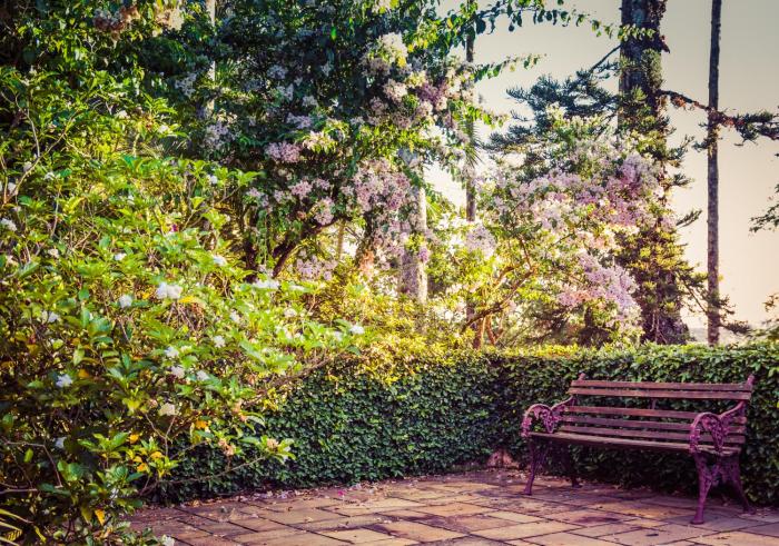 pousada recanto das rosas