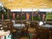 summer dream hotel
