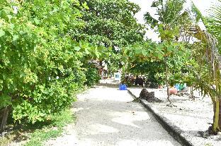 Malapatel,Bounty Beach Logon 6013 Daanbantayan Malapascua Island,5 star