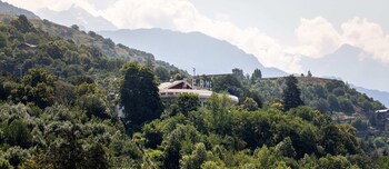 saint vincent