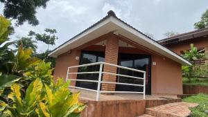 bongo