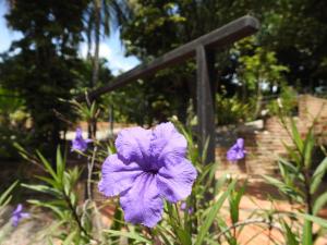 Morada Dos Ventos,Pipa Beach>>Pipa,3 star