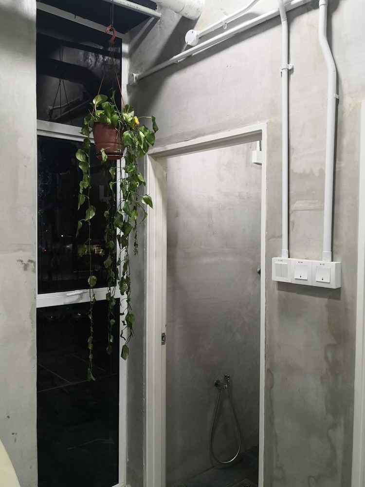 attrus bed and breakfast