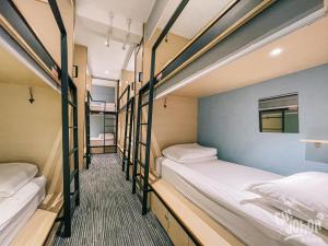 attrus bed and breakfast