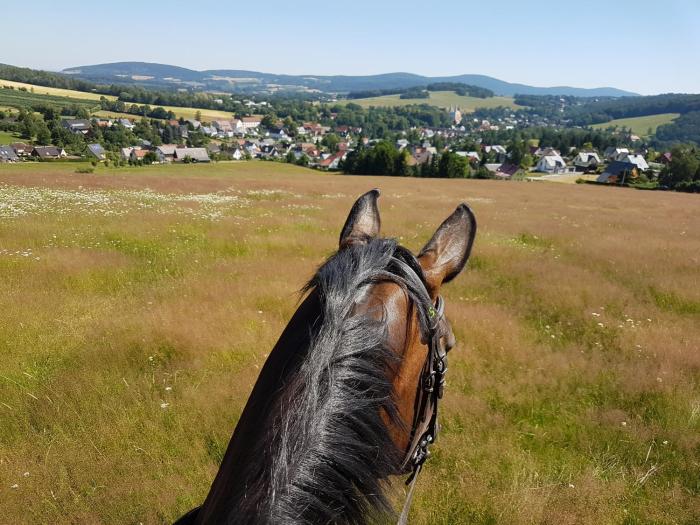 gutshof schirgiswalde