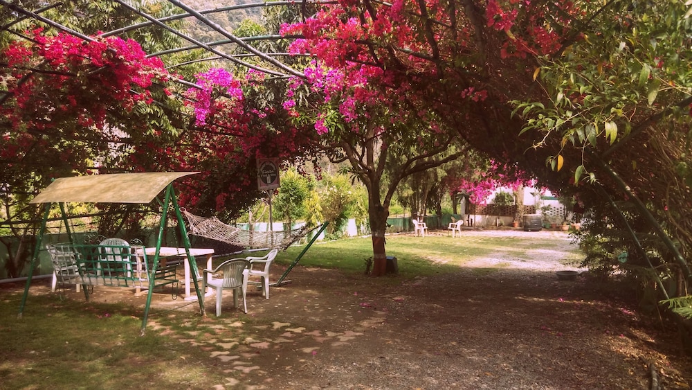 nainital